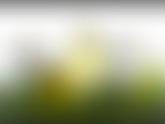 'FAT EAT FAT' a message from dowser'!