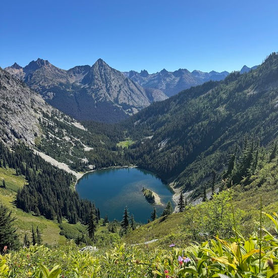 When the Dust Settles