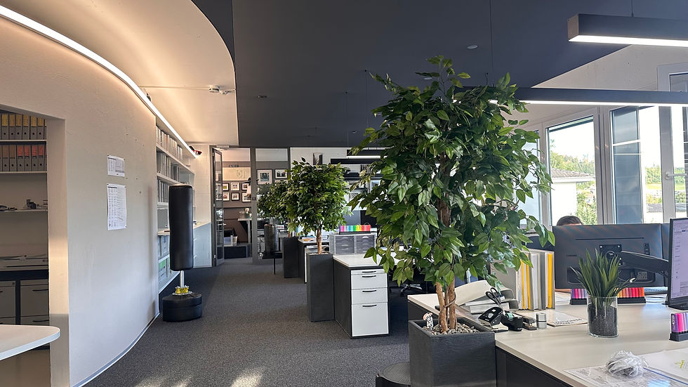 Bürobegrünung