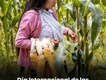 ✨ Día Internacional de las Mujeres Rurales 👩🏽‍🌾📚
