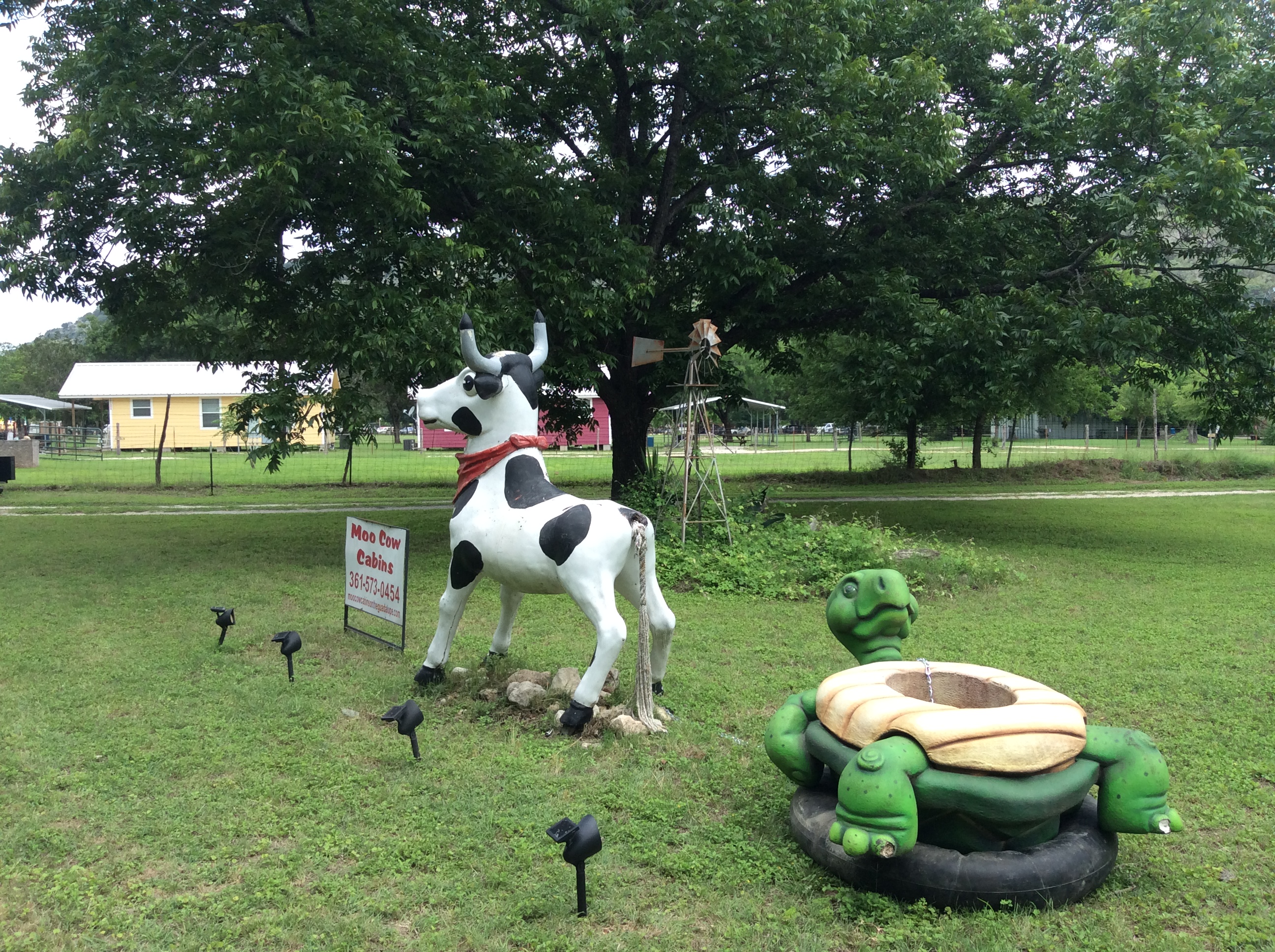 Attractions New Braunfels Moo Cow Cabins On The Guadalupe River