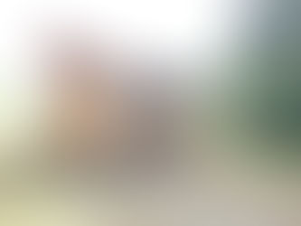 【御船町地域おこし協力隊募集中!!】