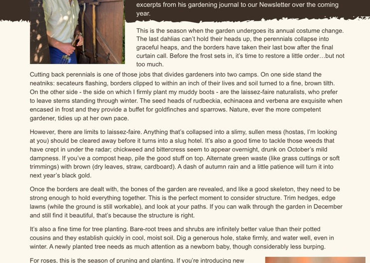 The Art of the Autumn Tidy, and Winter Prep