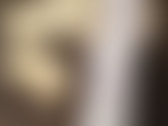 Pourquoi je n'utilise plus de SaranWrap