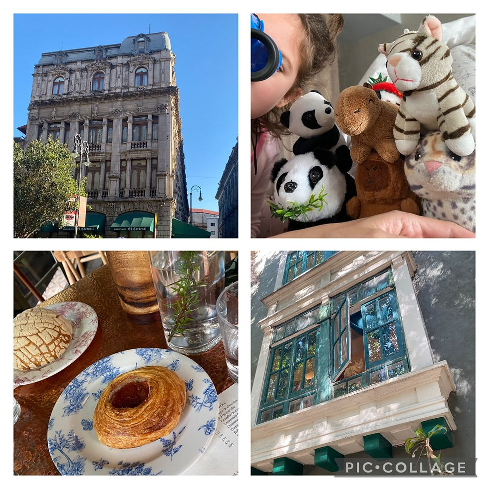 I love CdMx toddler edition: a fun, safe and family-friendly guide