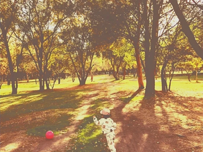 Gracias por su honestidad