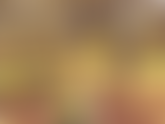 Gracias por su honestidad