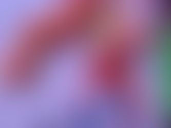 Cómo hacer una trenza mexicana para decoraciones y mucho más: