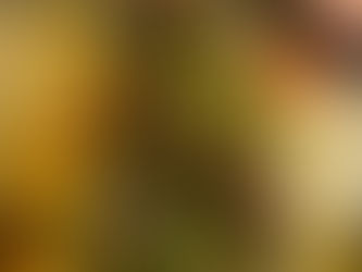 Árboles tradicionales y creativos: decora con artesanías tu árbol de Navidad