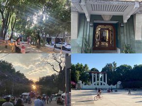 I love CdMx: 24 hours in La Condesa