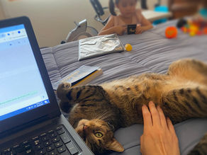 Beyond Being a Mom: Your Personal Goals Matter Too