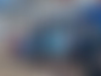 Sortie pédagogique : visite du bateau Plastic Odyssey