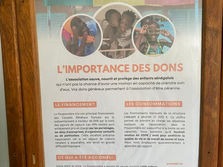 Les éco-délégués en action à Gorée