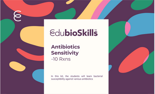 Antibiotics Sensitivity Teaching kit | EdubioSkills