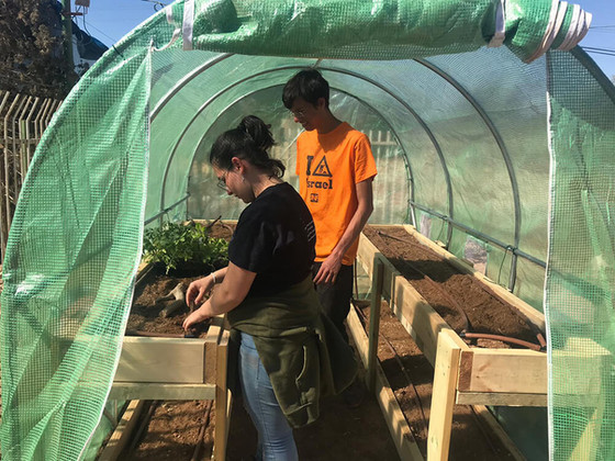 66833e5a-f2b8-4907-855f-481fdb5f30d1 cop