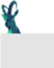 חברת הנוער - גרפיקה 3.0 -60.png