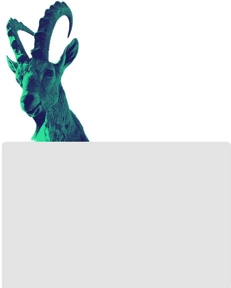 חברת הנוער - גרפיקה 3.0 -60.png