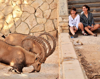 21148058_955231374609033_565995802064217