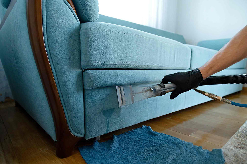Upholstery Cleaning