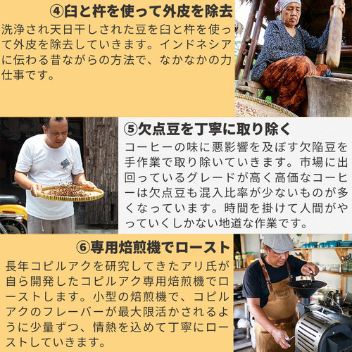 アリズ コピルアク ロブスタ 焙煎 コーヒー豆 100g | Ali's Kopi Loewak