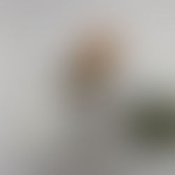 2/26(木)のメニュー