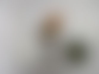 2/26(木)のメニュー