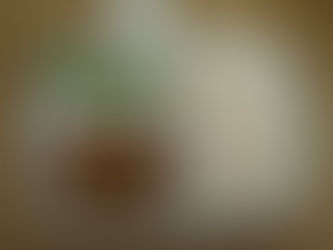 10/30(月)アレルギーC