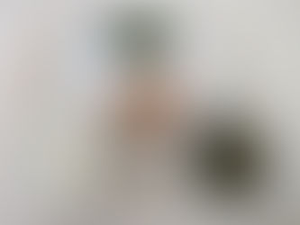 5/29(水)のメニュー