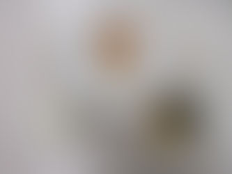 1/30(木)のメニュー