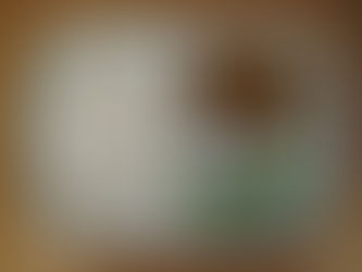 12/13(水)アレルギーC