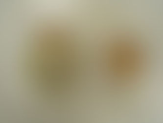 10/19(木)のメニュー