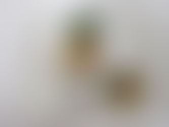 10/4(水)のメニュー