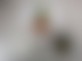 2/2(月)のメニュー