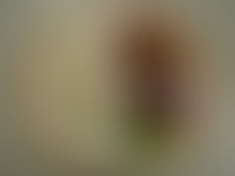 10/19(木)アレルギーB