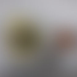 11/5(水)のメニュー