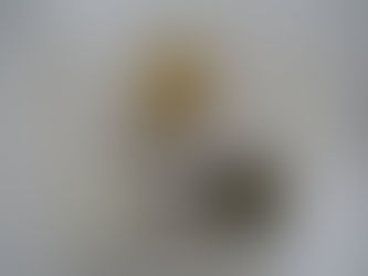 2/15(木)メニュー