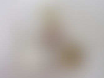 10/27(金)のメニュー