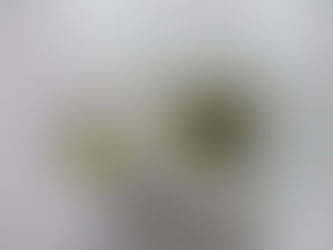 1/9(木)のメニュー