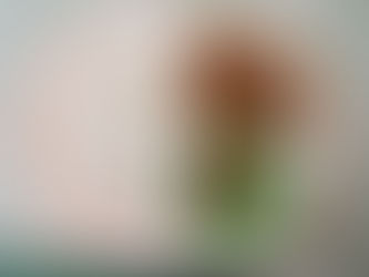 2/3(月)アレルギーB