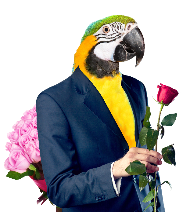Miniaturbild: Papageienliebe | Digitale Kunst Collage