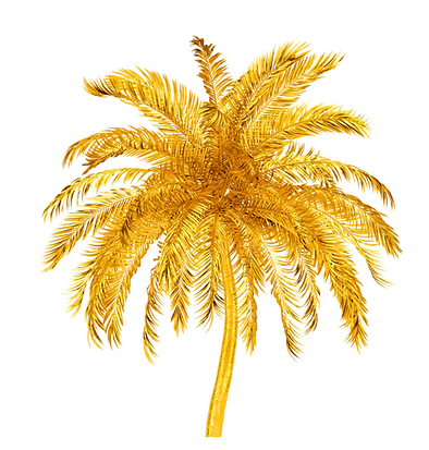 Palmier Guadeloupe