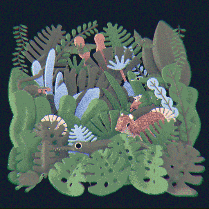 hex3.gif