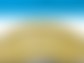 איגוד הבינלאומית להרמת משקולות אולימפית פרסם את לוח התחרויות לשנת 2026