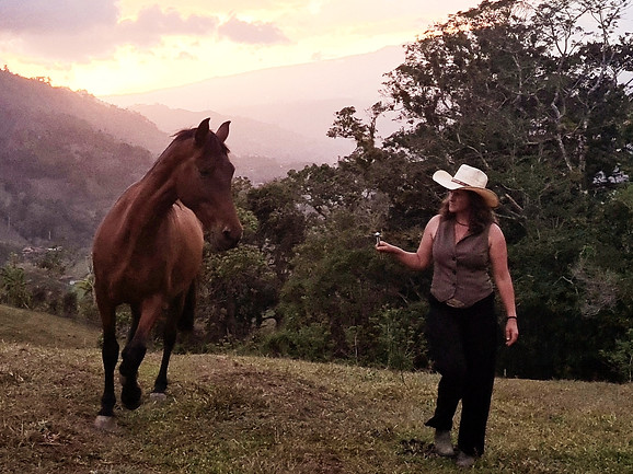 Caballo Libertad Costa Rica