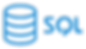 256-2563210_sql-programming-language-logo-hd-png-download_edited.png