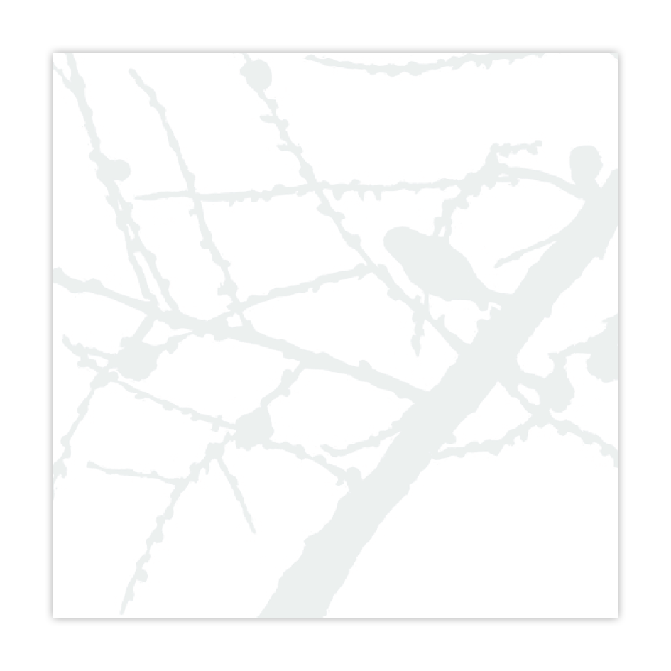 Karte- Gezwitscher im Ast