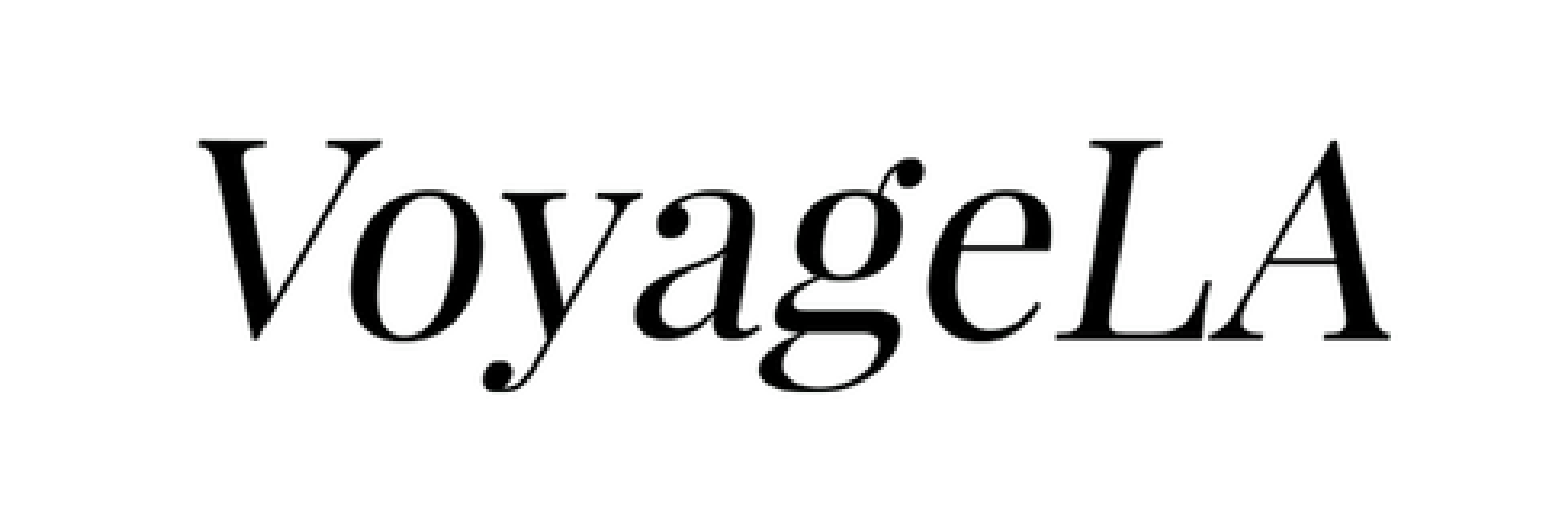 vla logoAsset 1_4x.png