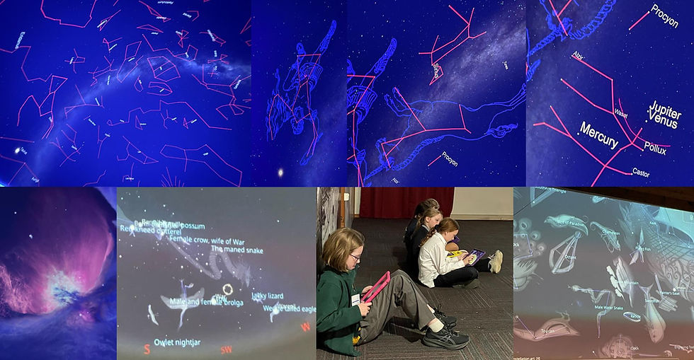 Investigating the Night Sky: A Girls in STEM Astronomy Experience