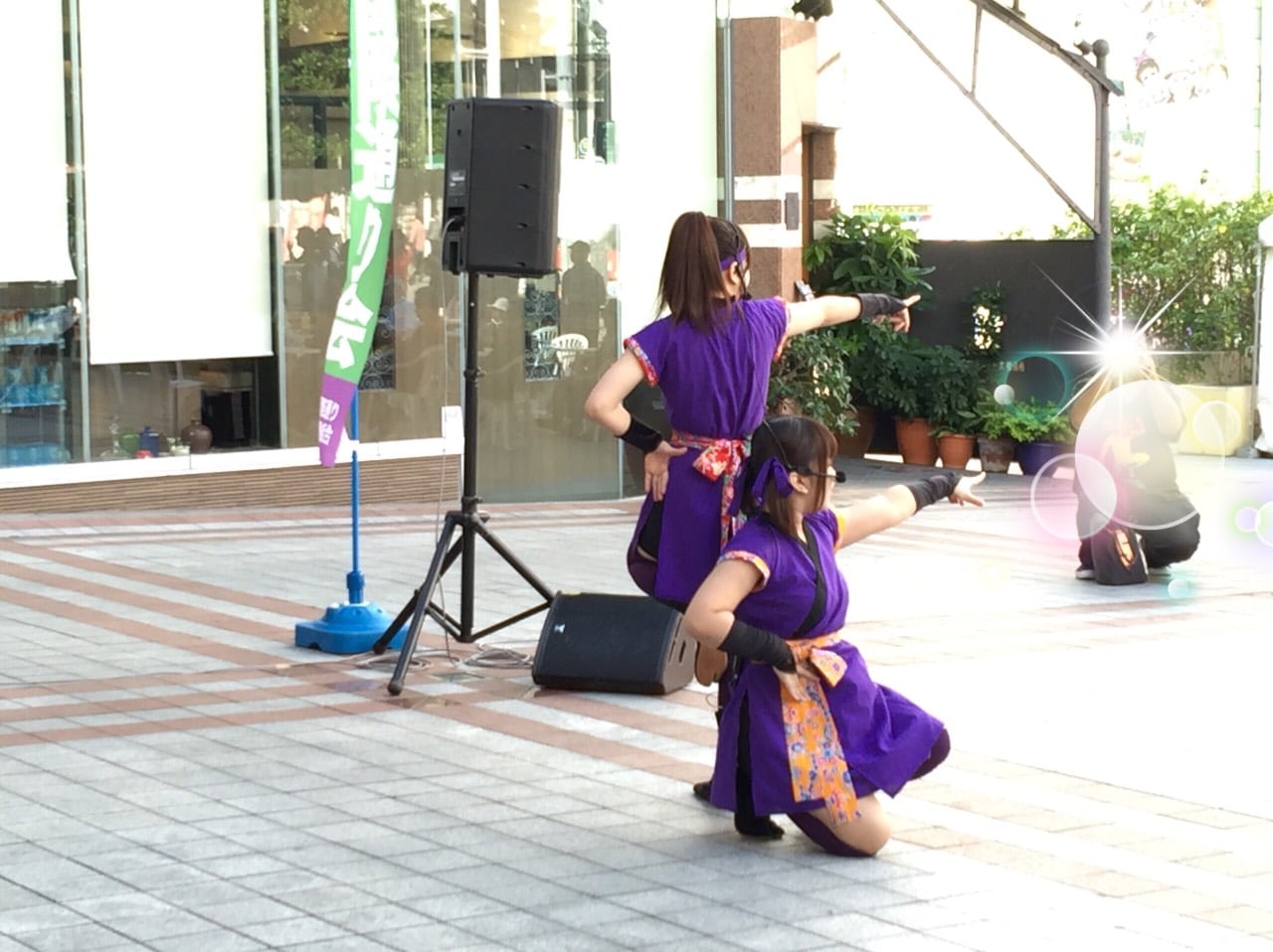 S__49217545