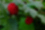 DSCF4178-min.JPG